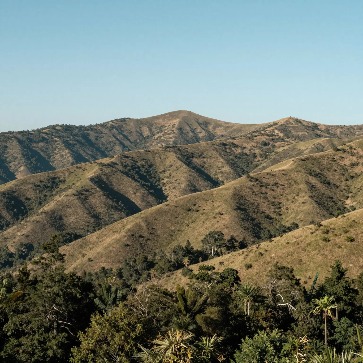 Brindlee Mountain Landscape